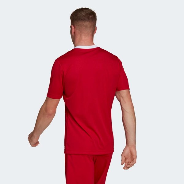 Koszulka męska Entrada 22 Jersey Adidas - czerwona