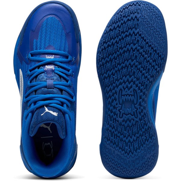 Buty koszykarskie Dagger Puma - Team Royal-Clyde Royal