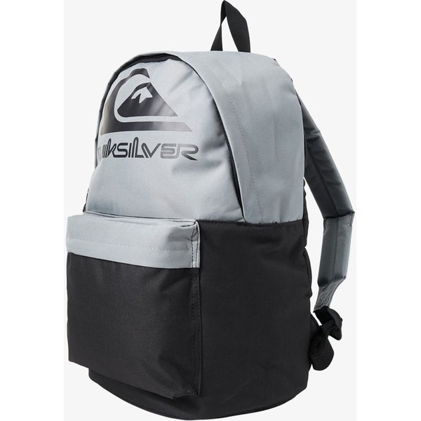 Plecak The Poster Logo 26L Quiksilver