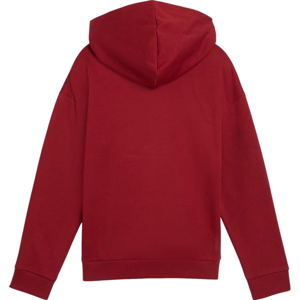 Bluza juniorska Ess+ Script Metallic Hoodie Puma