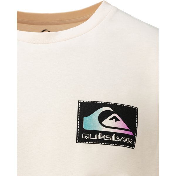 Koszulka męska Back Flash Quiksilver - Birch