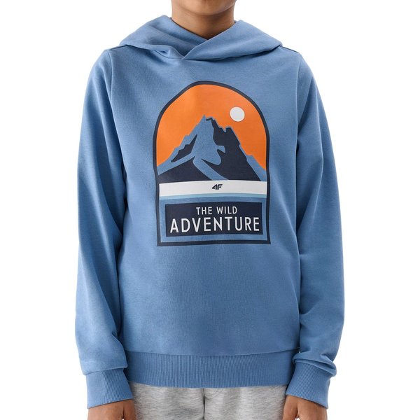 Bluza chłopięca 4FJWSS24TSWSM0933 4F - niebieski