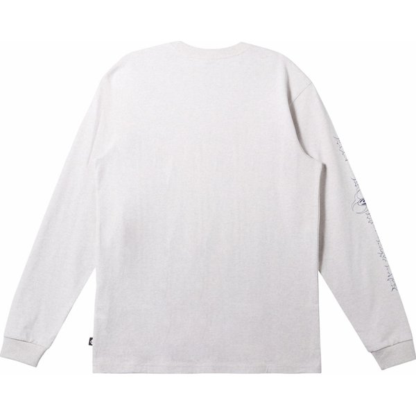 Longsleeve męski Bio Hazard Quiksilver - Snow Heather
