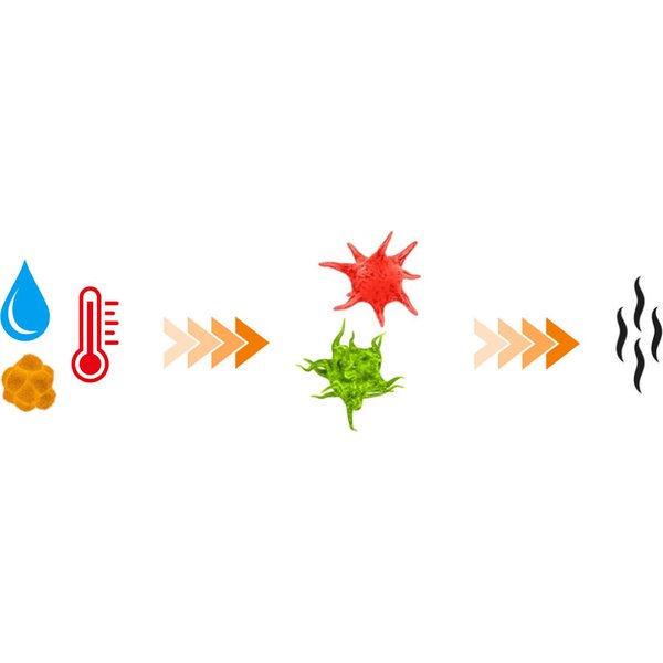 Środek czyszczący do tkanin, odświeżacz do sprzętu sportowego DBX Cleaner 200 ml Bushido