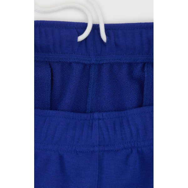 Spodenki męskie Script Logo Terry  Legacy Champion - niebieskie