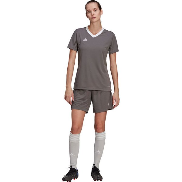 Koszulka damska Entrada 22 Jersey Adidas - szara