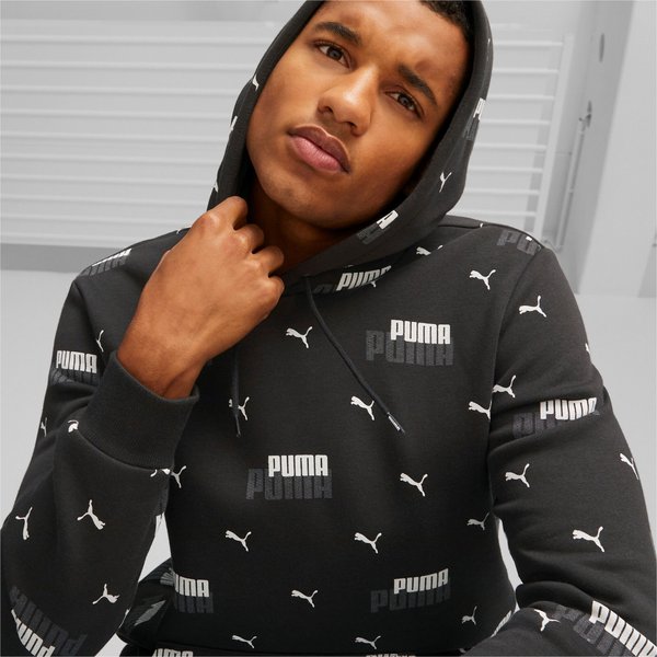 Bluza męska Essentials+ Logo Power Puma