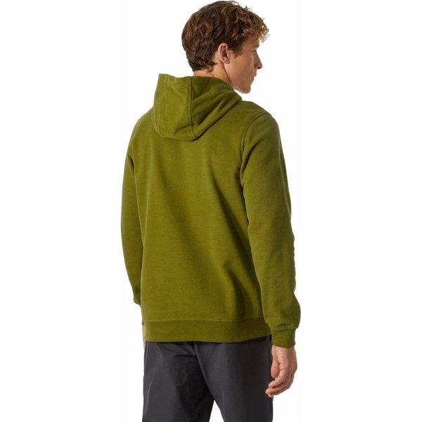 Bluza męska HH Hoodie Logo Helly Hansen - olive green