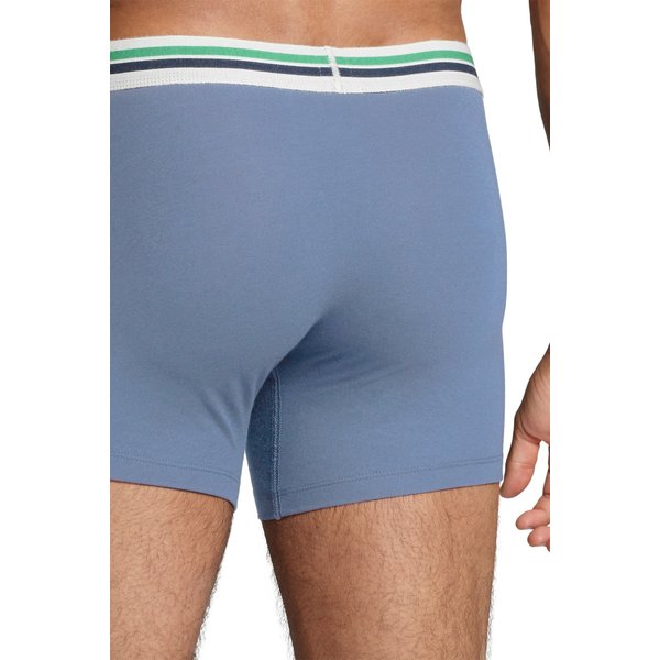 Bokserki męskie Placed Logo 2pary Levis - niebieskie/granatowe