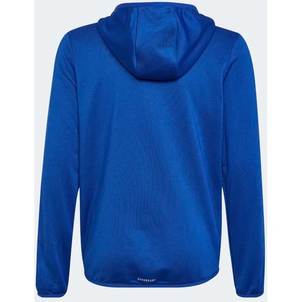 Bluza juniorska Designed 2 Move 3-Stripes Hoodie Adidas - niebieska