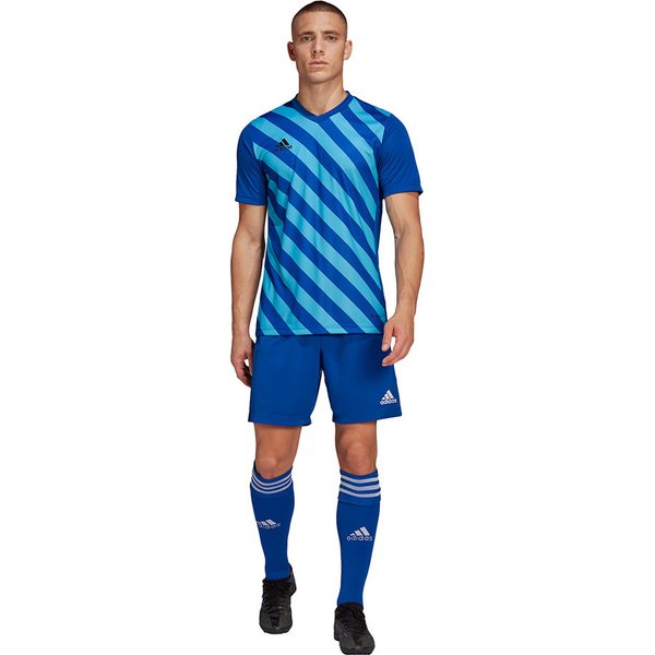 Koszulka męska Entrada 22 Graphic Adidas - niebiesko-błękitna