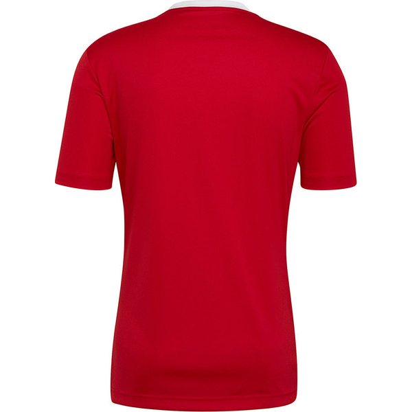 Koszulka męska Entrada 22 Jersey Adidas - czerwona