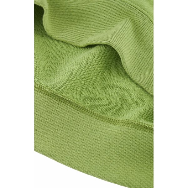 Bluza męska Tonal Script Logo French Terry Hoodie Legacy Champion - zielona