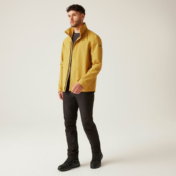 Kurtka męska Matt II Regatta - Mustard
