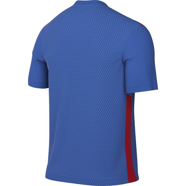 Koszulka męska DF Park Derby IV Jsy Nike - Royal Blue