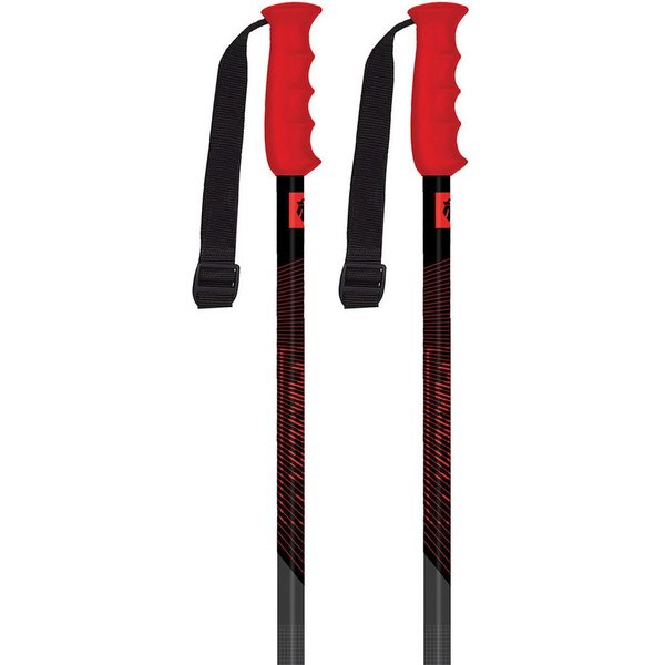 Kije narciarskie Adventure Pro Majesty