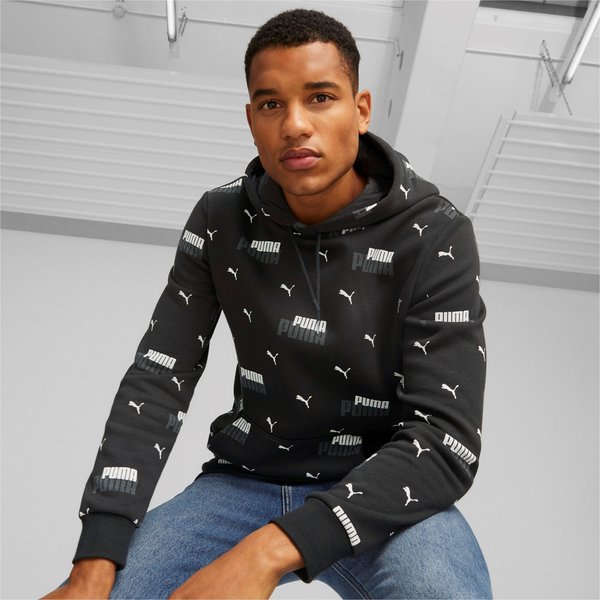 Bluza męska Essentials+ Logo Power Puma