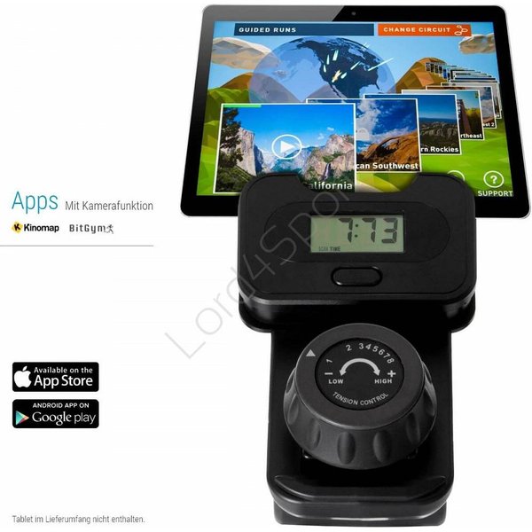 Stepper Cross Hammer