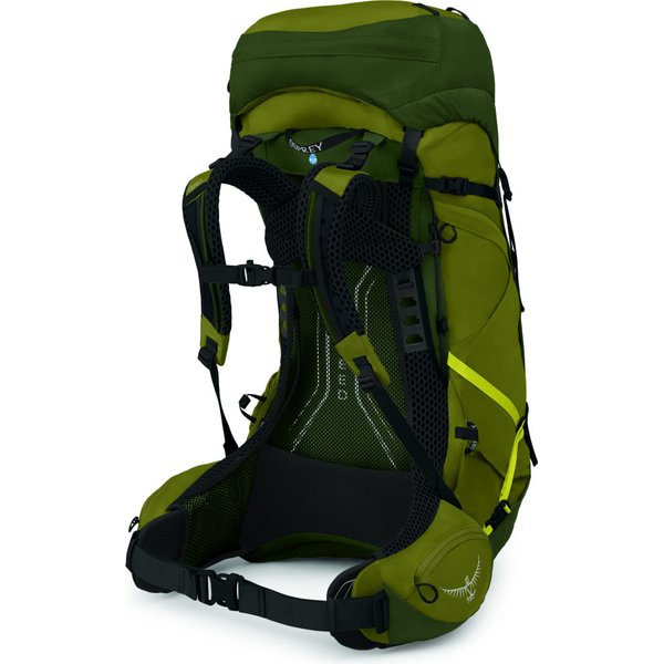 Plecak Atmos AG LT 65L Osprey - Scenic V./Green P.