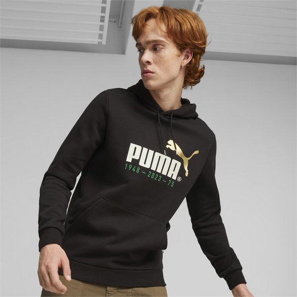 Bluza męska No. 1 Logo Celebration Puma