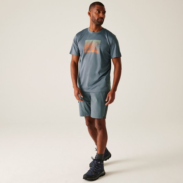 Spodenki trekkingowe męskie Eldes Regatta - StormyWeather/Ash