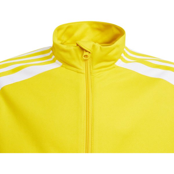 Bluza juniorska Squadra 21 Training Youth Adidas - żółty