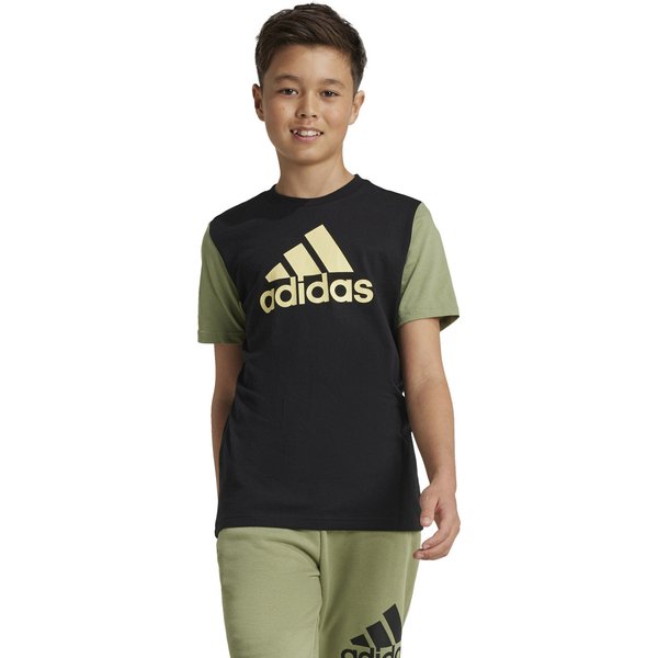Koszulka juniorska Essentials Big Logo Colorblock Adidas
