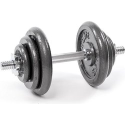 Hantla żeliwna 20kg Profit