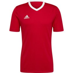 Koszulka męska Entrada 22 Jersey Adidas