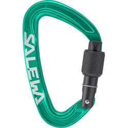 Karabinek Ortles Screw Salewa