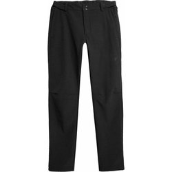 Spodnie trekkingowe męskie 4FAW23TFTRM364 4F