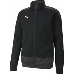 Bluza męska TeamGOAL 23 Training Puma