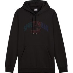 Bluza męska Ess+ Logo Lab Gradient Hoodie FL Puma