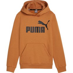 Bluza juniorska Essentials Big Logo Hooded Puma