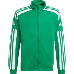 Bluza juniorska Squadra 21 Training Youth Adidas