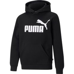 Bluza juniorska Essentials Big Logo Hooded Puma