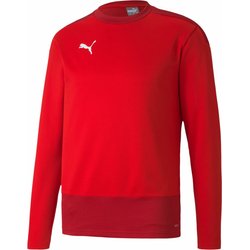 Bluza męska teamGOAL 23 Training Sweat Puma