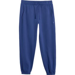 Spodnie dresowe męskie TTROM1140 4F