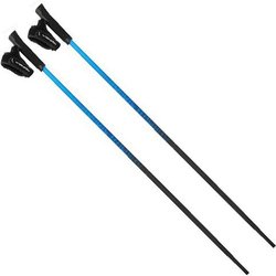 Kije do nordic walking Pro-Trainer Viking