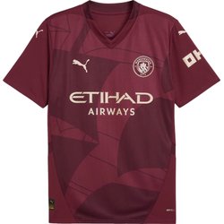 ウェア PUMA MCFC 3rd Jersey Replica LS 3XL ウェア PUMA MCFC 3rd Jersey Replica LS 3XL Puma Man City FC