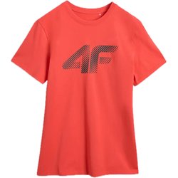 Koszulka męska TTSHM2257 4F