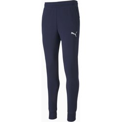 Spodnie dresowe męskie teamGoal 23 Casuals Puma