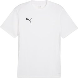 Koszulka męska teamGoal Jersey Puma