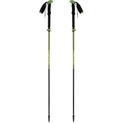 Kije trekkingowe Terve 2.0 Viking