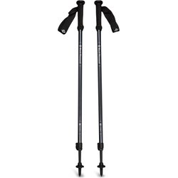 Kije trekkingowe Explorer 2 Black Diamond