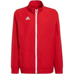 Bluza juniorska Entrada 22 Presentation Jacket Adidas