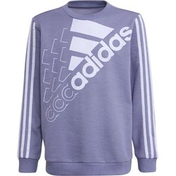 Bluza młodzieżowa Essentials Logo Sweatshirt Adidas