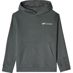 Bluza chłopięca TSWSM1229 4F