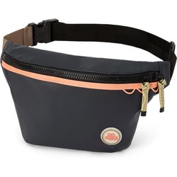 Saszetka, nerka Renovation Hip Pack Dakine