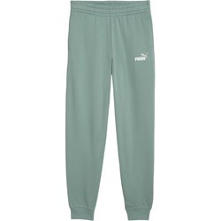 Spodnie dresowe juniorskie Essentials Colour No. 1 Logo Puma